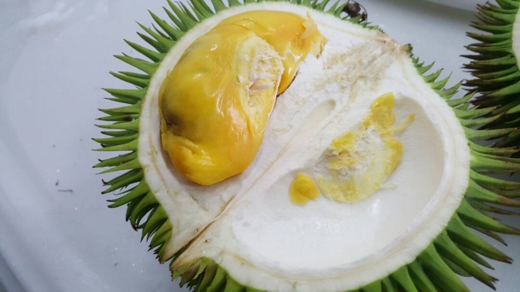 Durian isu